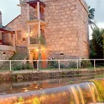 Galea