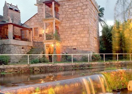 Galea