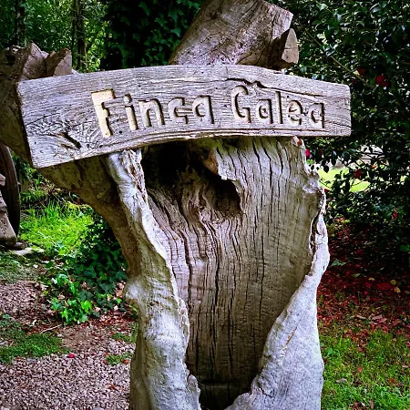 Galea Séjour à la campagne
