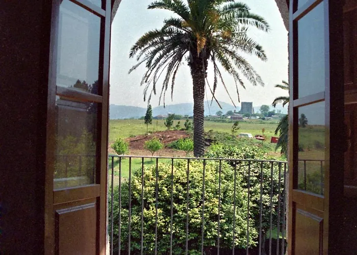 Galea Carballido