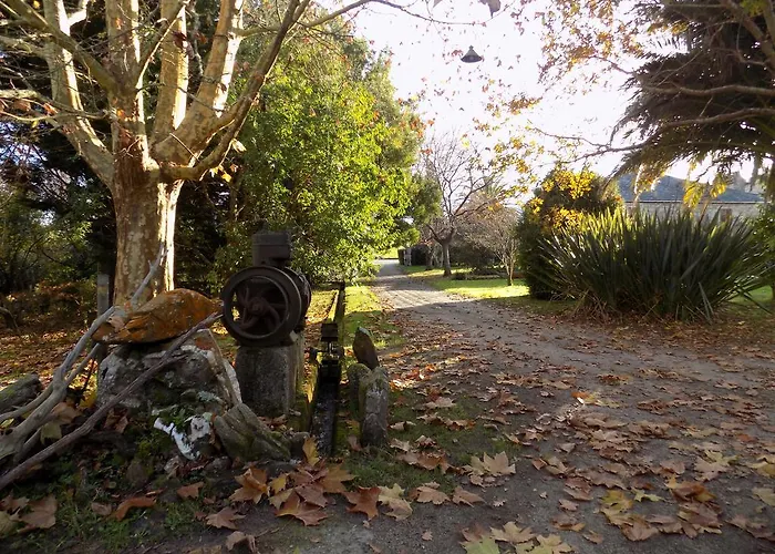 Landsted Galea Carballido