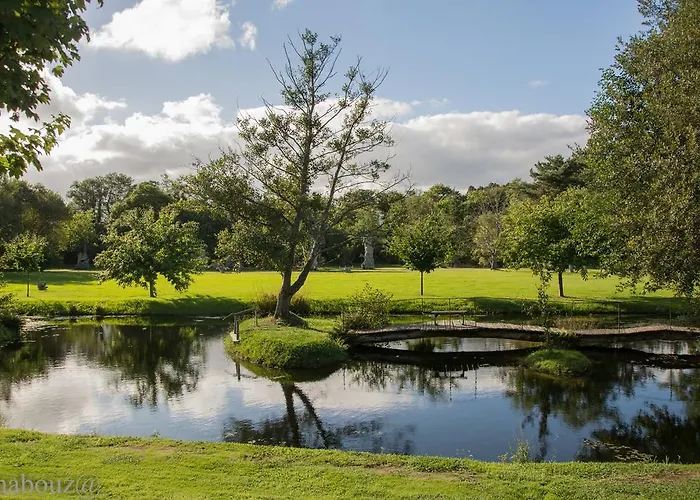 Galea Landsted Carballido