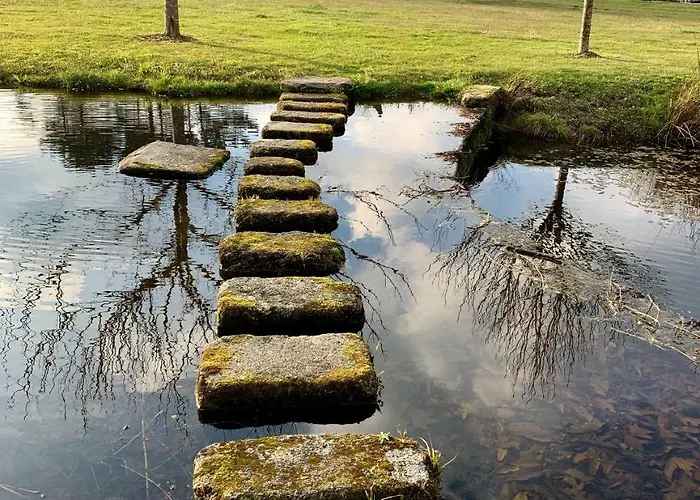 Galea Landsted Carballido